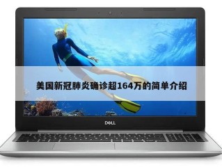 美国新冠肺炎确诊超164万的简单介绍