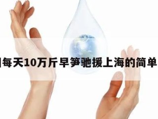 杭州每天10万斤早笋驰援上海的简单介绍