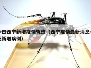 今日西宁新增疫情轨迹（西宁疫情最新消息今天新增病例）