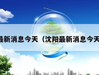 沈阳最新消息今天（沈阳最新消息今天天气）