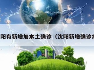 沈阳有新增加本土确诊（沈阳新增确诊病）