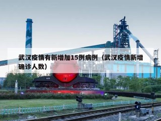 武汉疫情有新增加15例病例（武汉疫情新增确诊人数）